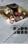 色彩静物表现 封面