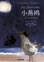 小燕鸥  关于领悟的故事 封面