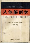 人体解剖学 封面