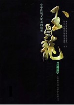 玉与龙 封面