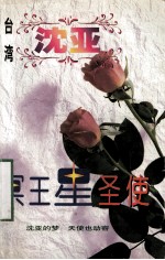 沈亚作品系列  冥王星圣使 封面