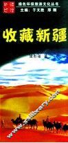 新疆收藏 封面