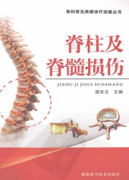 脊柱及脊髓损伤 封面
