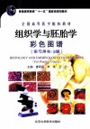组织学与胚胎学彩色图谱  实习用书 封面