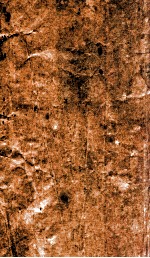 雪窦和尚百则颂古 封面