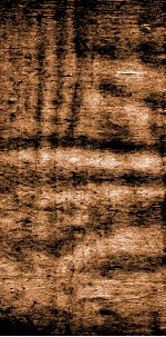 四书文选  钦定启祯四书文  1 封面