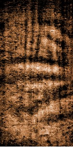 四书文选  钦定启祯四书文  3 封面