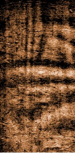 四书文选  钦定本朝四书文  1 封面