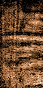 四书文选  钦定本朝四书文  2 封面