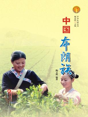 中华民族全书  中国布朗族 封面