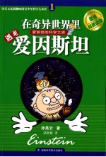 在奇异世界里遇见爱因斯坦 封面