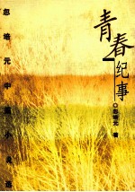 青春纪事  忽培元中篇小说选 封面