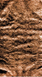 咫进斋丛书  7  测囨密率、椭圆正术、用表推日食三差 封面