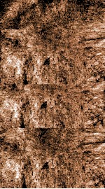 船山遗书  丞厘实录  卷7-11 封面