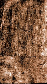 船山遗书  疆斋文集  卷5-10 封面