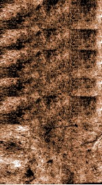 船山遗书  疆斋诗分礼稿  卷1-4 封面