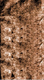 船山遗书  王船山丛书校勘记、疆斋诗编年稿 封面