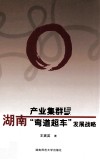 产业集群与湖南“弯道超车”发展战略 封面