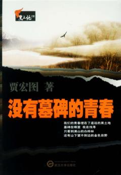 没有墓碑的青春 封面