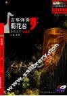 古筝弹奏菊花台  新鲜流行  标准级 封面