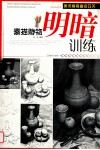 美术高考重点攻关  素描静物明暗训练 封面