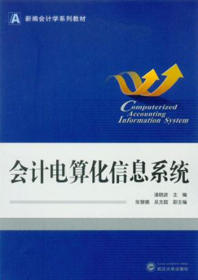 会计电算化信息系统 封面