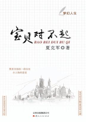 宝贝对不起 封面