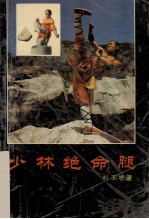 少林绝命腿 封面