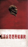 毛泽东思想照耀黄陂 电子书封面