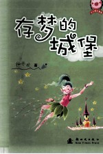 存梦的城堡 封面
