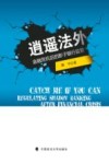 逍遥法外  金融危机后的影子银行监管 封面