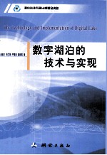 数字湖泊的技术与实现 封面