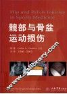 髋部与骨盆运动损伤 封面