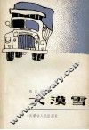 大漠雪 封面