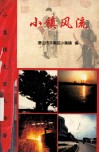 小镇风流  小集镇先进人物谱 封面
