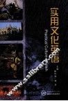 实用文化英语 封面