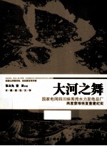 大河之舞  国家电网四川映秀湾水力发电总厂两度蒙难恢复重建纪实 封面