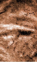 闺媛典  第29-33卷 电子书封面