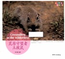 我的野生动物邻居  荒原守望者土拨鼠 封面
