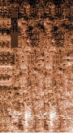 卫青霍去病传  第25  汉书55 封面