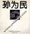 孙为民 封面