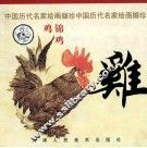 鸡 封面