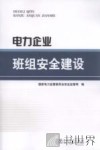 电力企业班组安全建设 封面