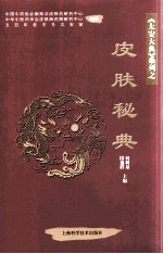 皮肤秘典 封面