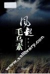 风起毛乌素 封面