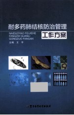 耐多药肺结核防治管理工作方案 封面