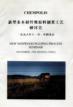 新型非木材纤维原料制浆工艺研讨会 封面