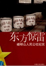 东方惊雷  嵖岈山卫星人民公社纪实 封面