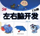 左右脑开发120题  5岁 封面
