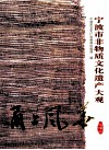 甬上风华  宁波市非物质文化遗产大观  海曙卷 封面